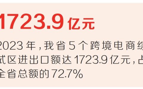 去年全省跨境电商进出口额同比增长7.3%