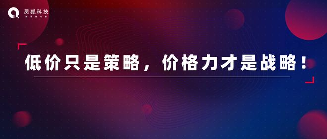 2024，品牌如何打赢“价格力”持久战？丨灵狐科技：1个观点 1个定义 1套打法