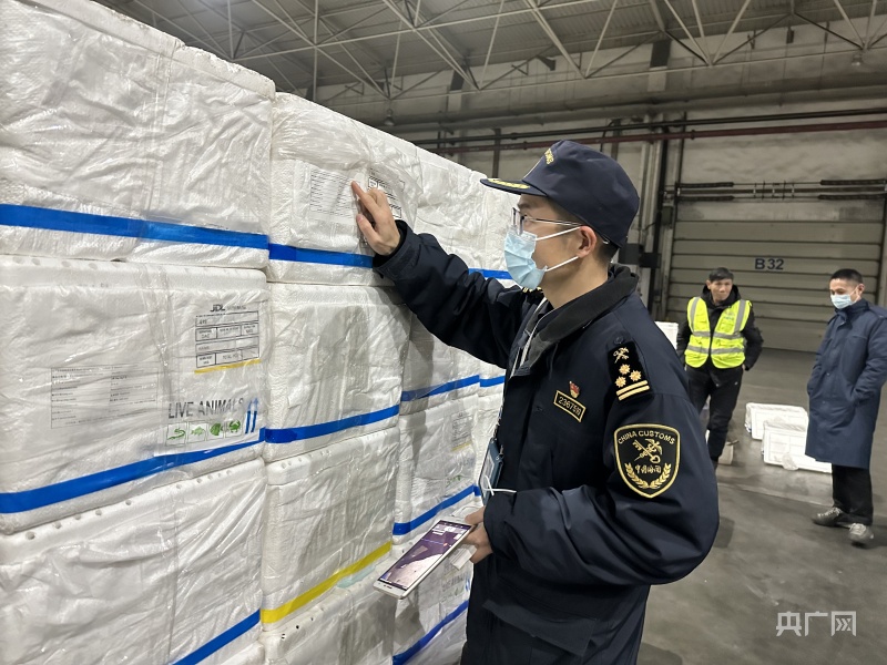新春走基层丨南京禄口国际机场春节保障生鲜进口与跨境电商出口双高峰