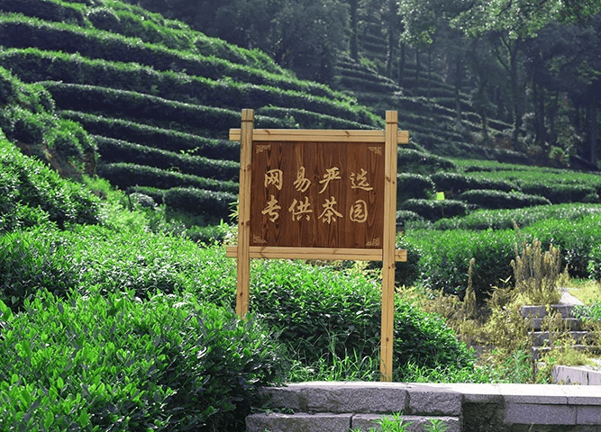 网易严选“春茶季”开启，升级款明前西湖龙井“一上线就卖爆”
