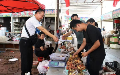 楚雄南华：野生菌搭上电商“快车”带来好“钱”景