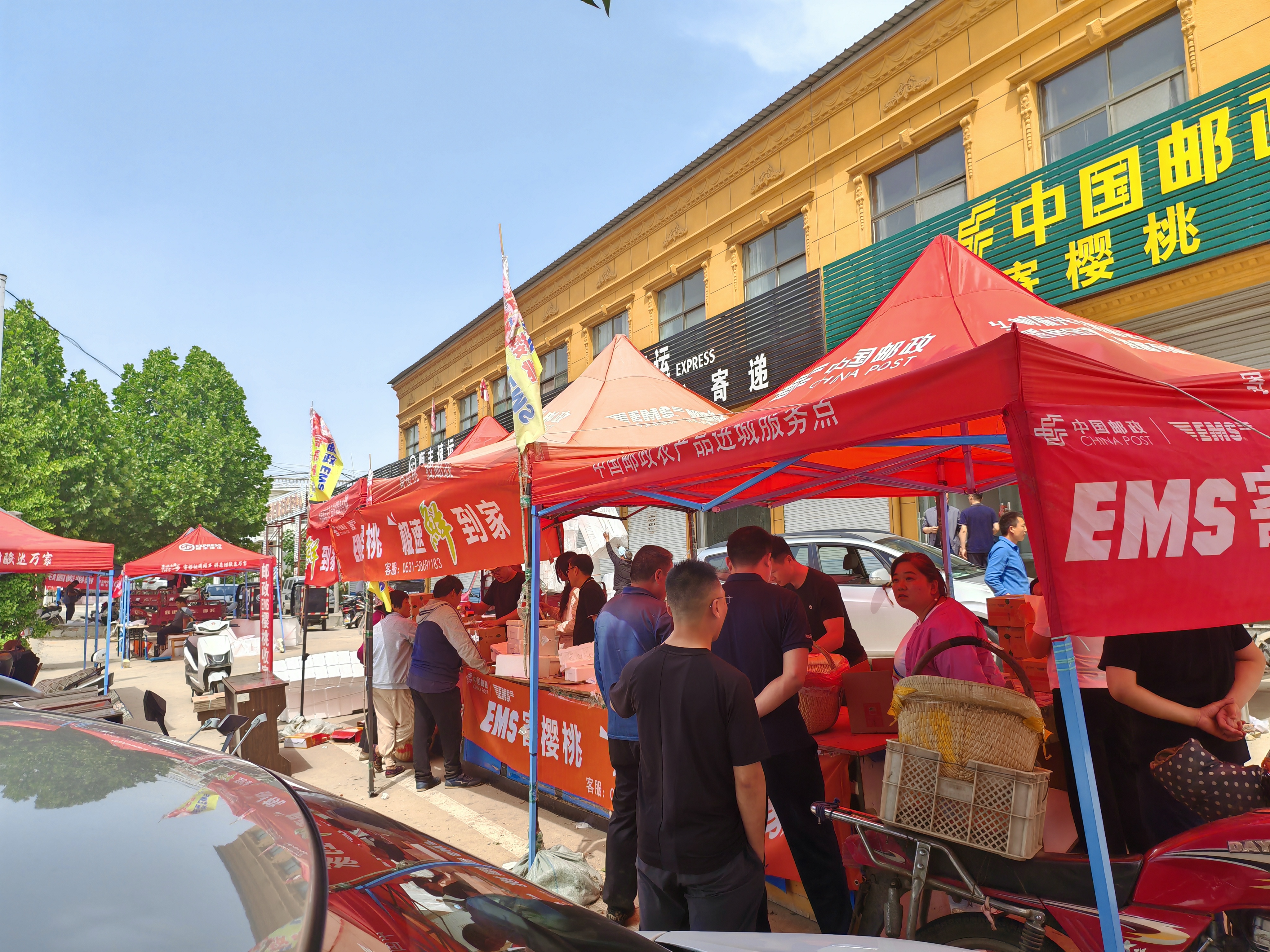 “樱为邮你”，邮政助力大樱桃电商节开幕