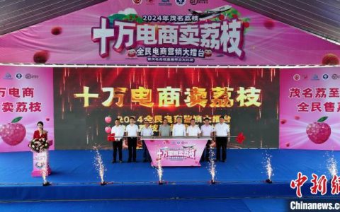 “十万电商卖荔枝” 广东茂名2024年荔枝营销大比拼启幕