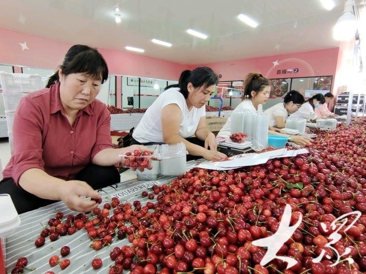 潍坊临朐：山旺电商“七彩云播”推进乡村全面振兴