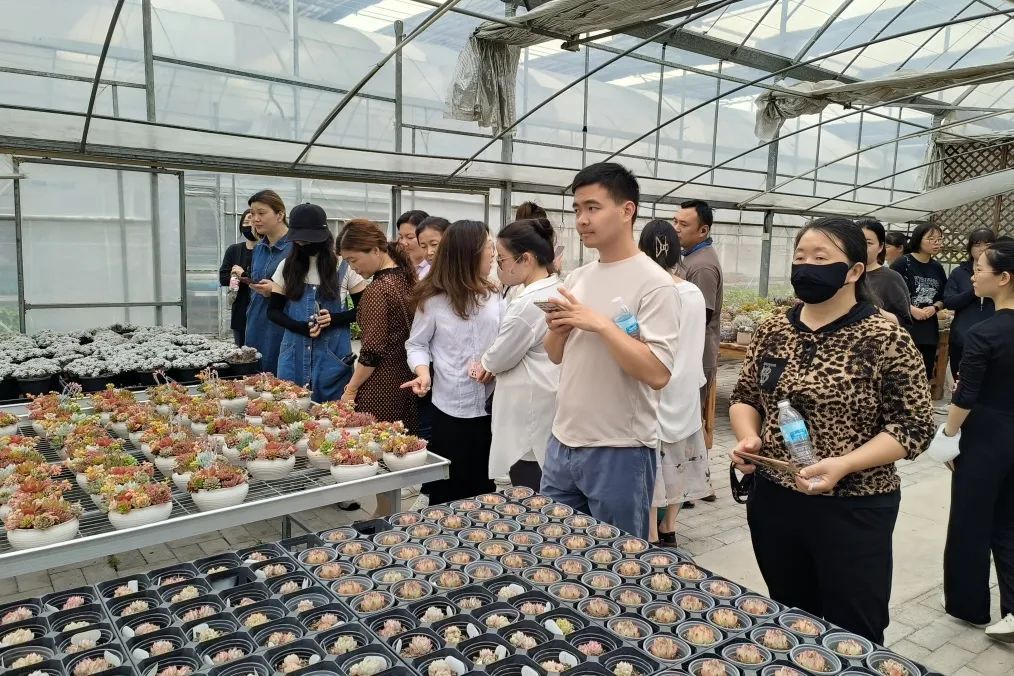 青年人才“挑大梁”，他们参访学习电商直播新业态