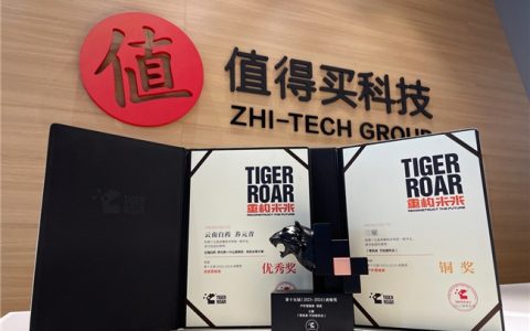 定制服务、自主IP双双闪耀，什么值得买斩获第15届虎啸奖两项大奖