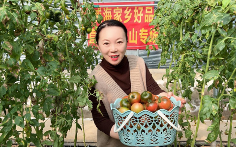 2024好网民·在山东|乳山市孙琳：让直播电商传递更多向上向善正能量