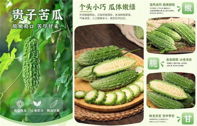 信宜北梭甜柿喜迎丰收，天猫美食助力“信字号”北梭甜柿“柿”力“出圈”走俏全国