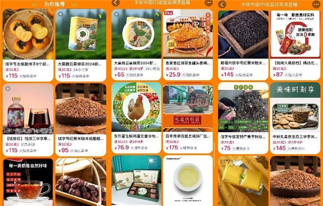 信宜北梭甜柿喜迎丰收，天猫美食助力“信字号”北梭甜柿“柿”力“出圈”走俏全国