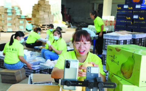 奋进强国路 阔步新征程丨石家庄推动农村电商发展为乡村振兴注入新活力