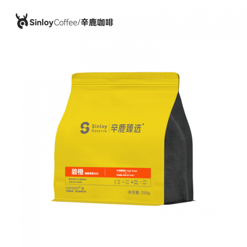 YouSuite电商零售大数据处理：B2C汇总过账提升财务效率
