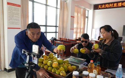云南龙陵：边境村干部化身“电商达人”助农增收