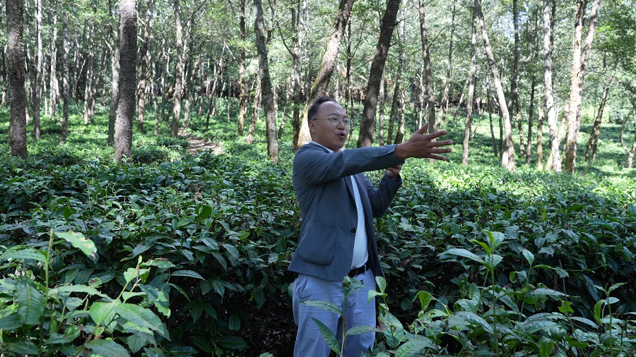 云南龙陵：边境村干部化身“电商达人”助农增收