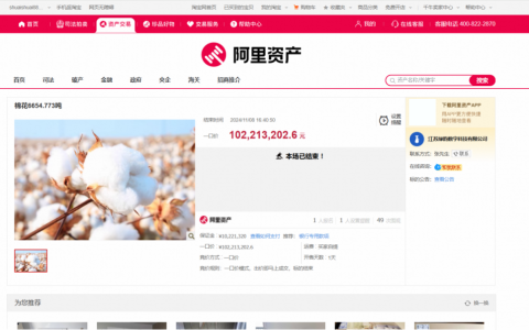 2024年“双11”购物狂欢节圆满收官，阿里资产引领电商新趋势