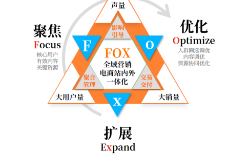 头部电商服务商灵狐科技双11报告深度解读 6拼之阵+9大营销趋势