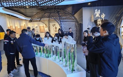 【人民城市•温情中国】江苏宿迁：全员“上链接”！千年古城玩转电商style
