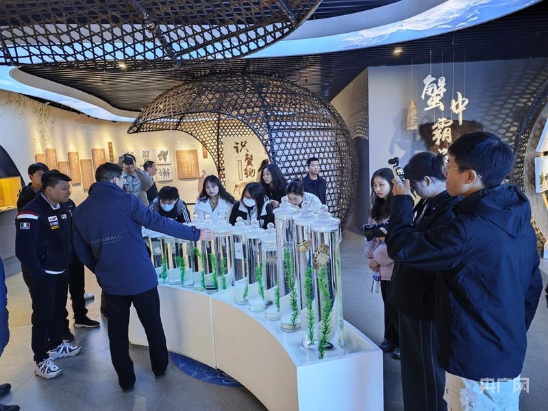 【人民城市•温情中国】江苏宿迁:全员“上链接”!千年古城玩转电商style