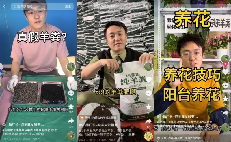 抖音电商双11带货达人总销售额、总直播时长同比增长43%，中小达人成主角