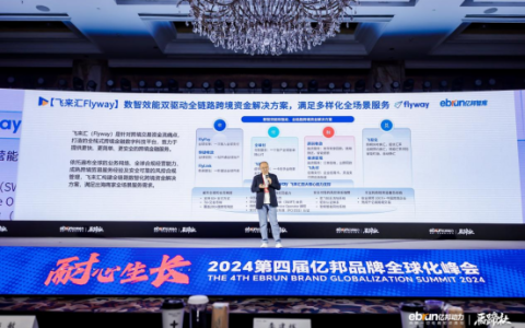 飞来汇创新出海工具及资金解决方案入选《2024全球化新品牌洞察报告》