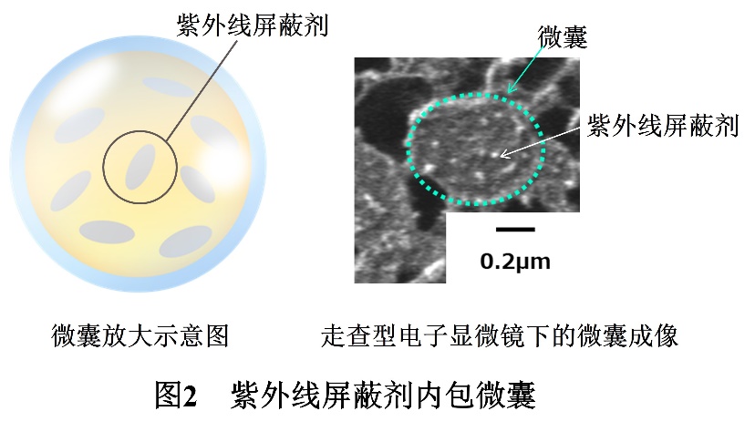 https://www.cndsw.com.cn/wp-content/uploads/2024/12/ca0977e577251c01bd88cf96e0ef9a37.jpg