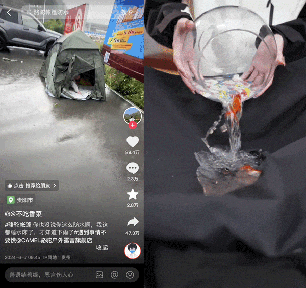 都 2025 年了,还有品牌不会抢「风」头吗?