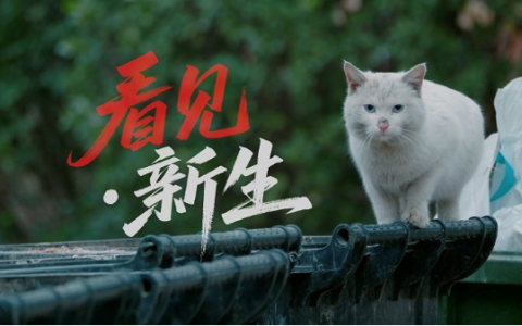 「看见·新生」，用爱与科技点亮毛孩子的未来