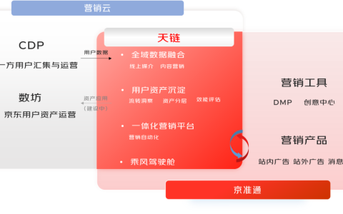 全新“天链”平台上线,数智赋能全域用户营销运营增长