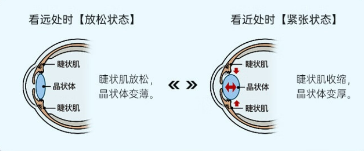 https://www.cndsw.com.cn/wp-content/uploads/2025/06/24c15580a7451caa7c3e39ca46fc719b.png