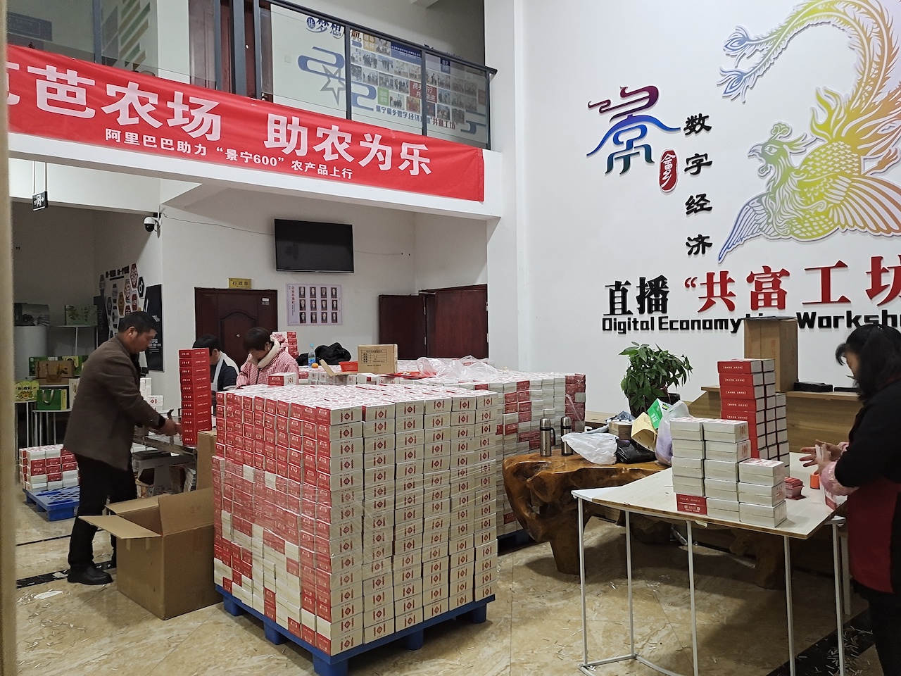 浙江景宁农户19天卖10万单！阿里陪跑计划让50岁“老姜头”变身电商新农人